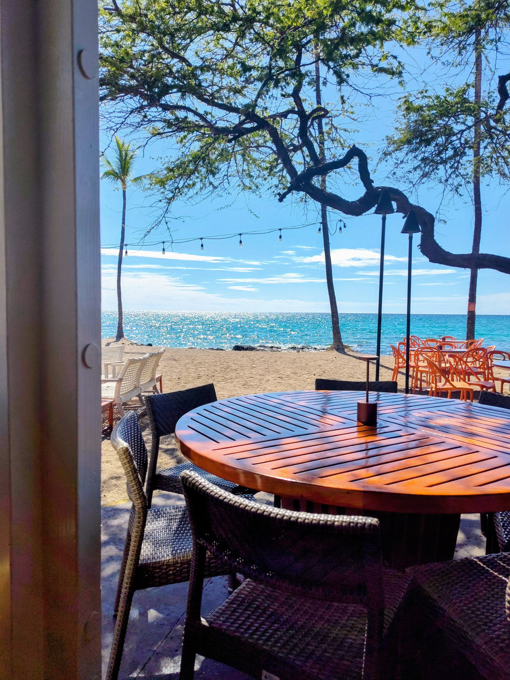 mugs and thermos for hot and cold drinks