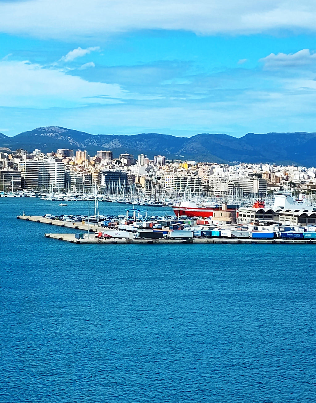 mugs and thermos for hot and cold drinks