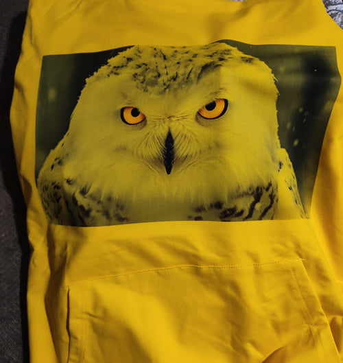 sweat shirt